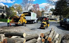 Boyceville, WI Tree Care Company